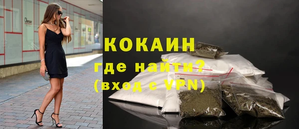 спиды Бородино