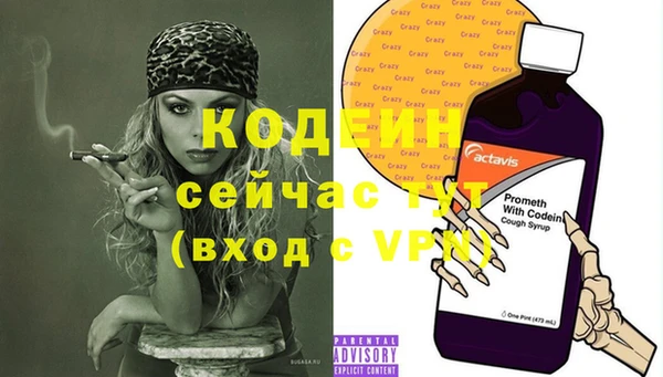 спиды Бородино