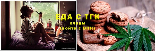 спиды Бородино