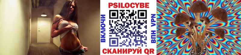Псилоцибиновые грибы Psilocybine cubensis  Дорогобуж 